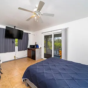  Homestay Blue Hawaiian